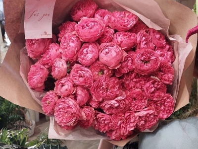 Букет из пионовидных роз Джульетта Расберри (9 веток)