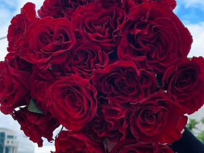 Букет из 19 роз ХЁРТС с лентой