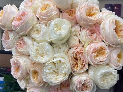 Букет микс из 35 роз от плантации Тесса