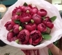 Пион Ред Шарм