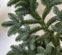 Нобилис пихта, ветка. Размер M